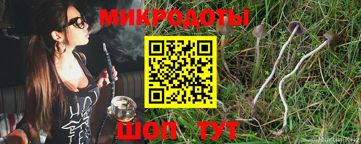 Псилоцибиновые грибы MAGIC MUSHROOMS  Вход с VPN  Псилоцибиновые грибы прущие грибы  продажа наркотиков  Подольск 